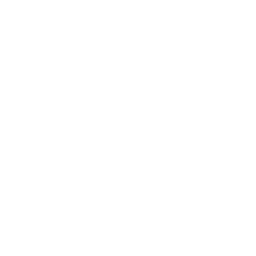 New Corporation Setup
