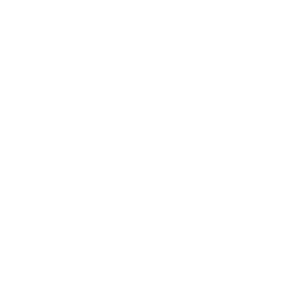 Corporate Acquisition