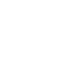 Payroll Services