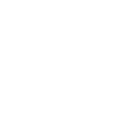International Tax Planning
